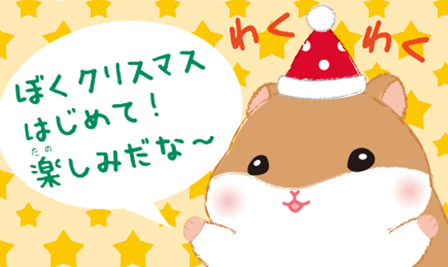 2015年10月 ころはむコロンのクリスマス